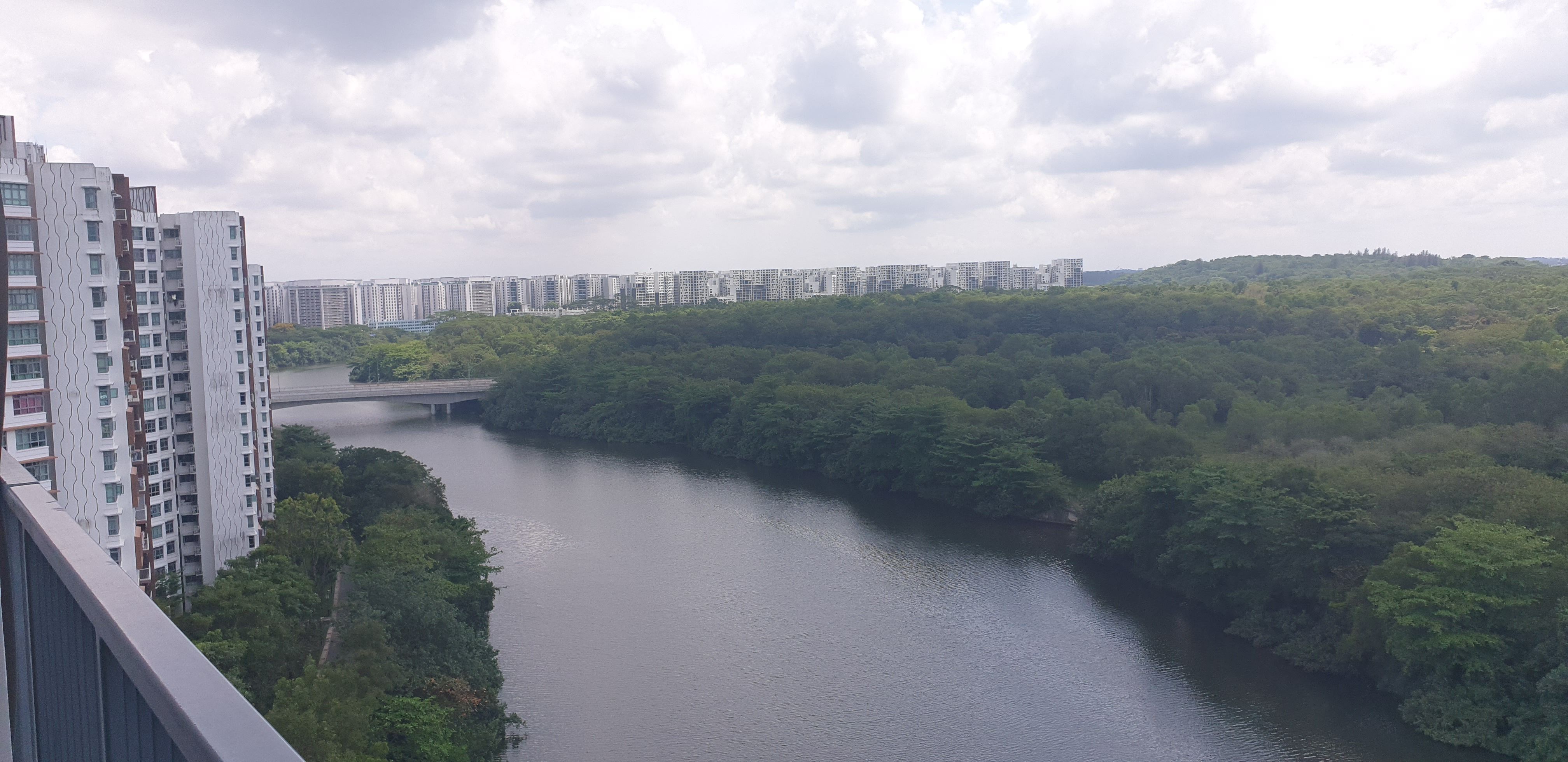 Panoramic view of Sungei Serangoon river and Lorong Halus forest from the balcony